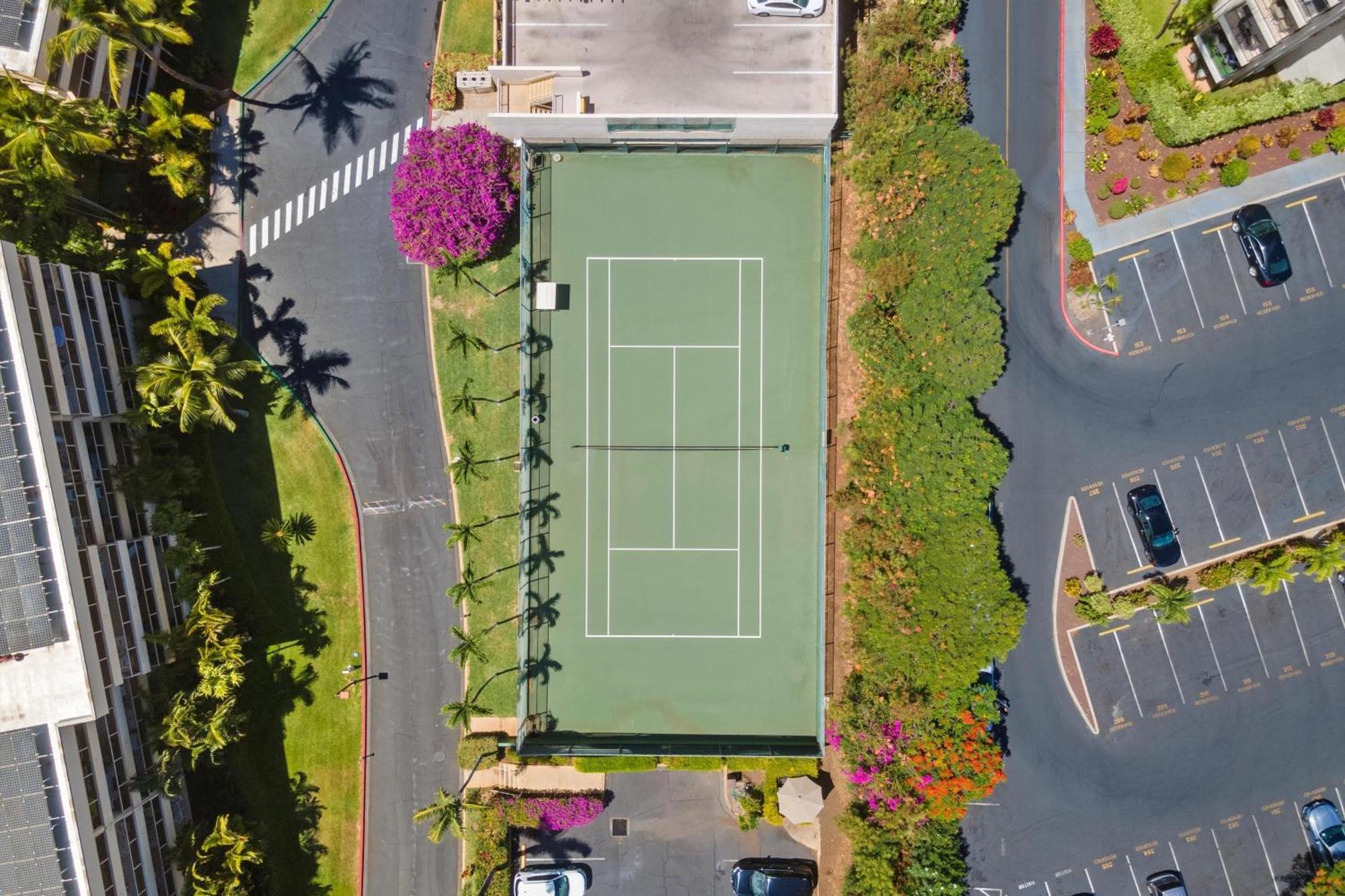 ワイレア Maui Banyanヴィラ 部屋 写真
