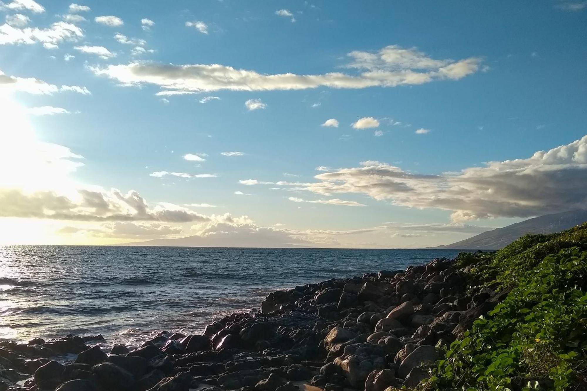 ワイレア Maui Banyanヴィラ 部屋 写真