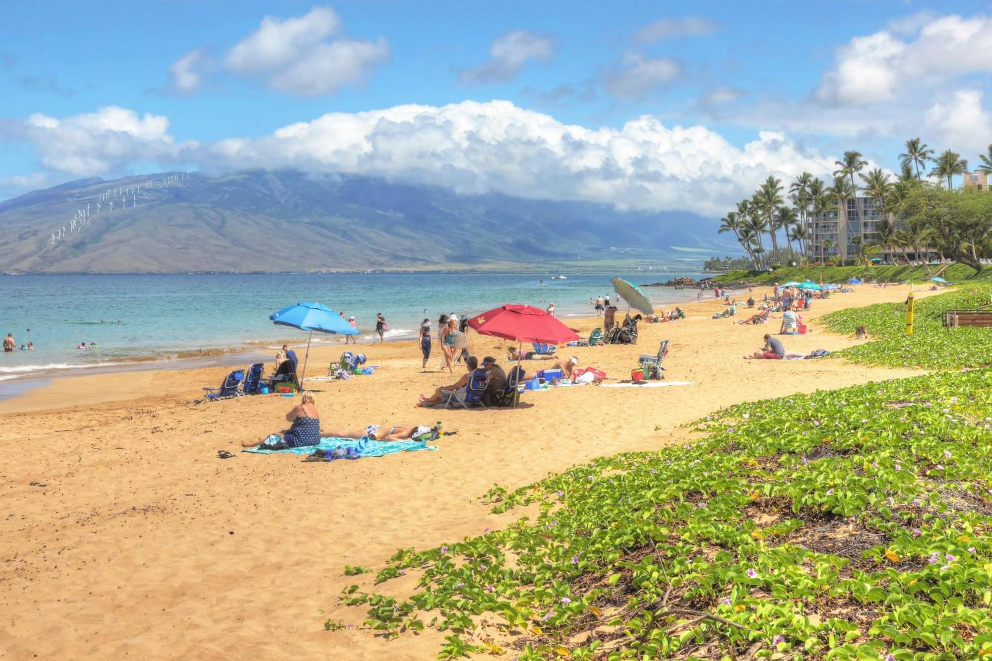 ワイレア Maui Banyanヴィラ 部屋 写真