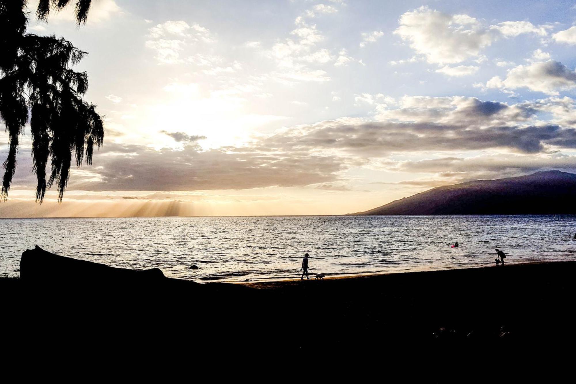 ワイレア Maui Banyanヴィラ 部屋 写真